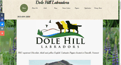 Desktop Screenshot of dolehilllabradors.com